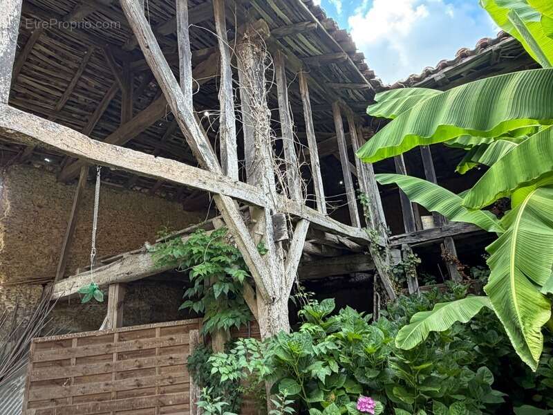Domaine plein de charme de 250M2 avec dépendances, gîtes dans un écrin de verdure Proche de MONT DE MARSAN au HOUGA - photo 7