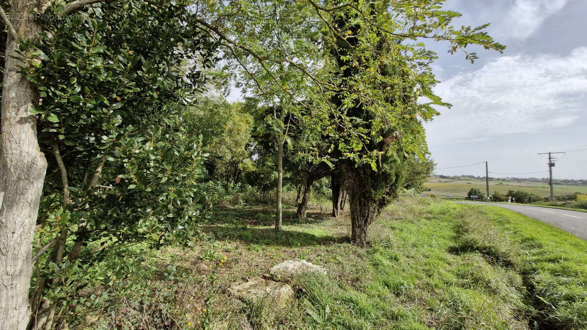 Terrain à CHENAC-SAINT-SEURIN-D&#039;UZET