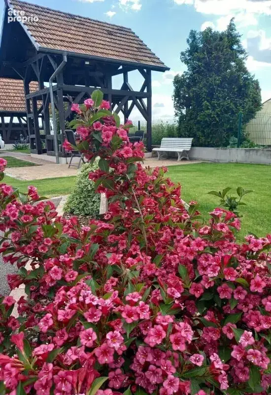 Près de Gerstheim, Domaine de gîtes  – Fort potentiel touristique - photo 14