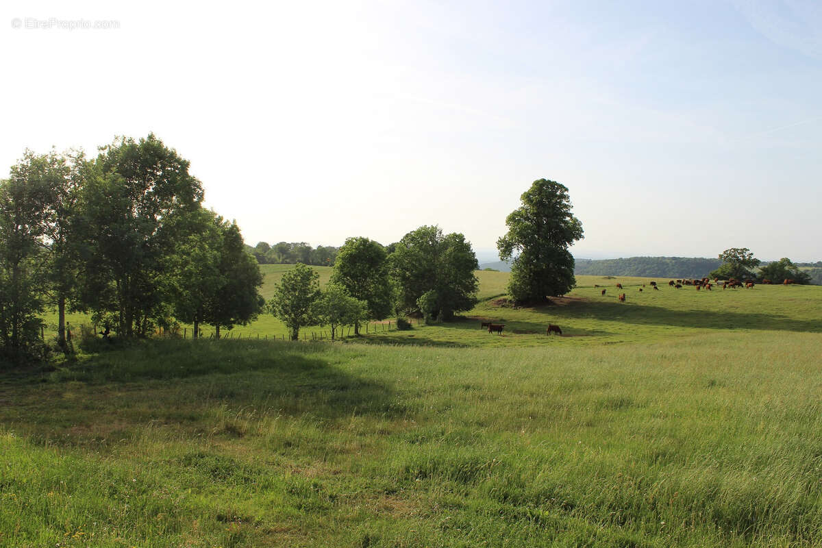 Maison à ANGLARDS-DE-SALERS