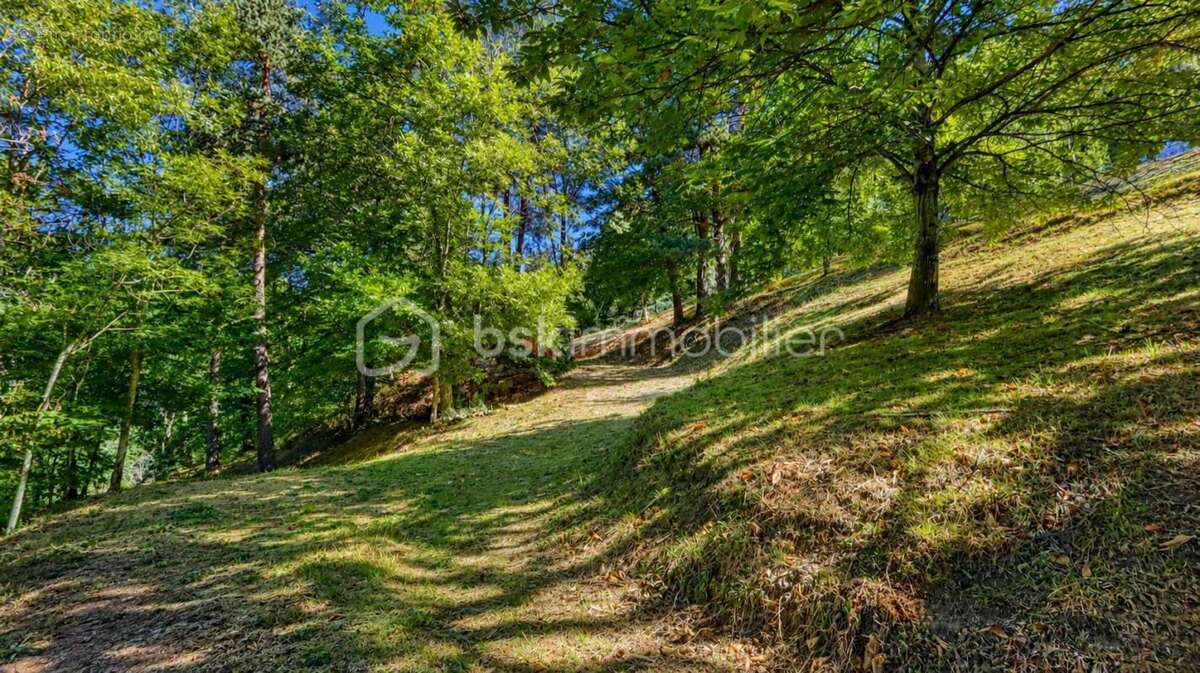 Ferme ardéchoise en pierres avec vue panoramique et châtaigneraie centenaire à proximité de Lamastre - photo 5