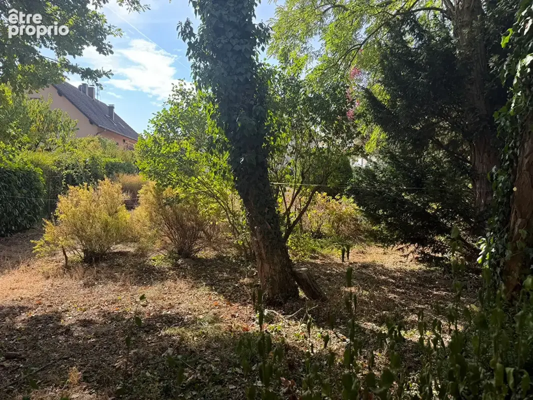 Maison lauterbourg - photo 12