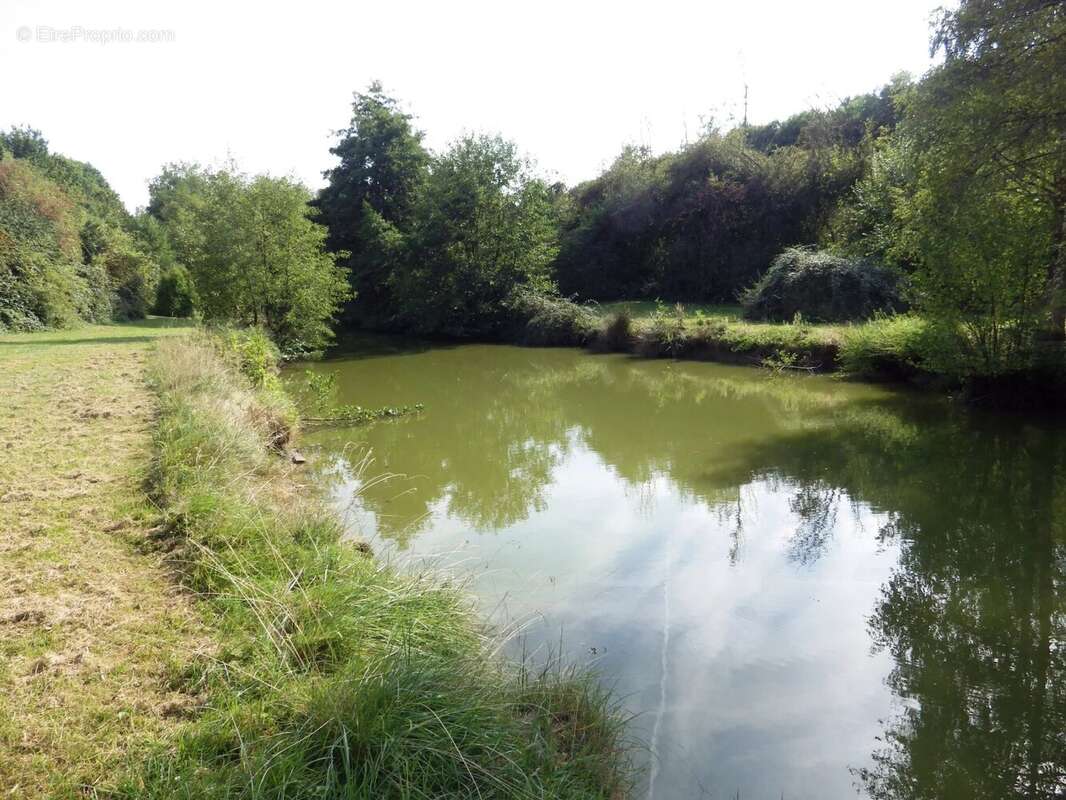Terrain à VILLEREAU