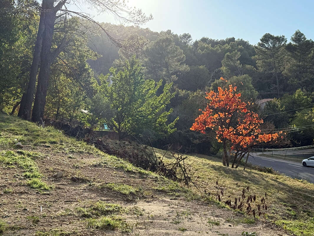 Terrain à LA ROQUE-D&#039;ANTHERON