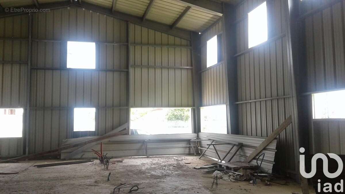 Photo 4 - Appartement à ANSE-BERTRAND