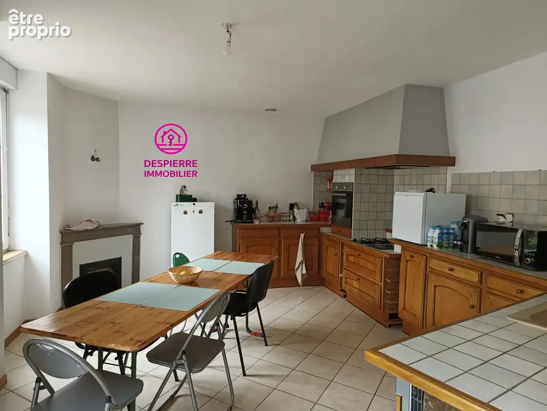SAINT RAMBERT D'ALBON centre ville, appartement 180 m2 environ avec terrasse et annexe 60 m2 - photo 2