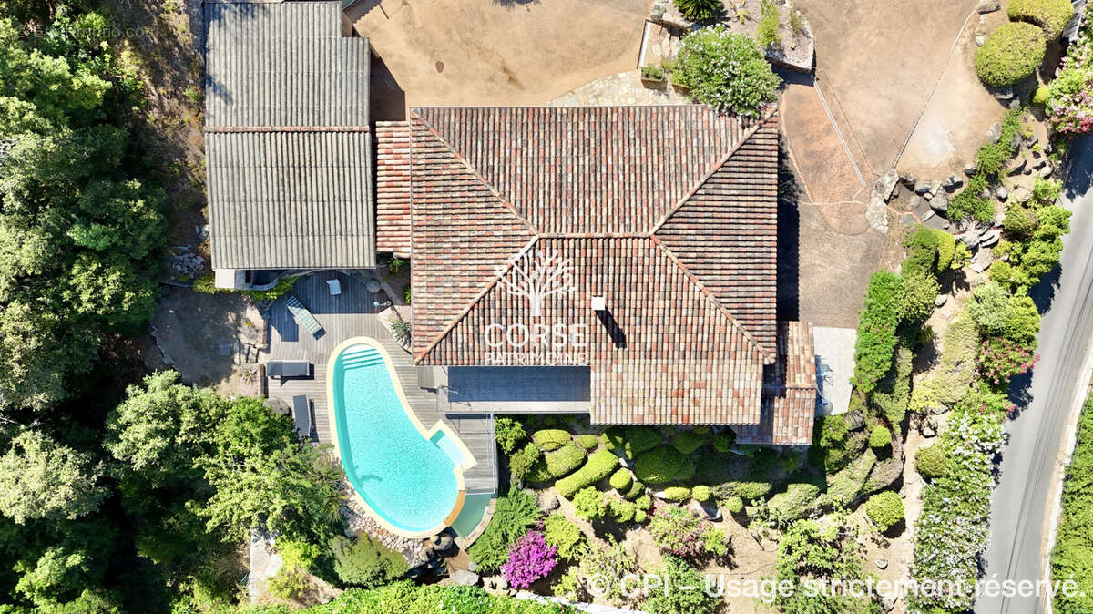 Maison à PORTO-VECCHIO