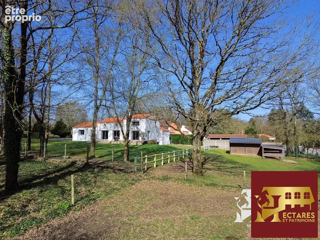 Maison Saint Sebastien Sur Loire 153 m2, 1,5 hectare en location - photo 4