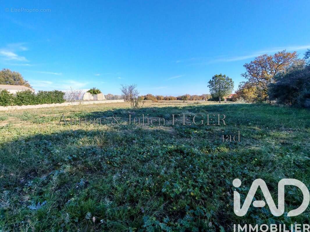 Photo 3 - Terrain à TROUILLAS