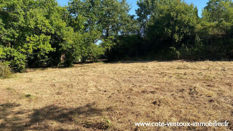 Terrain constructible viabilisé - 660 m² - photo 2