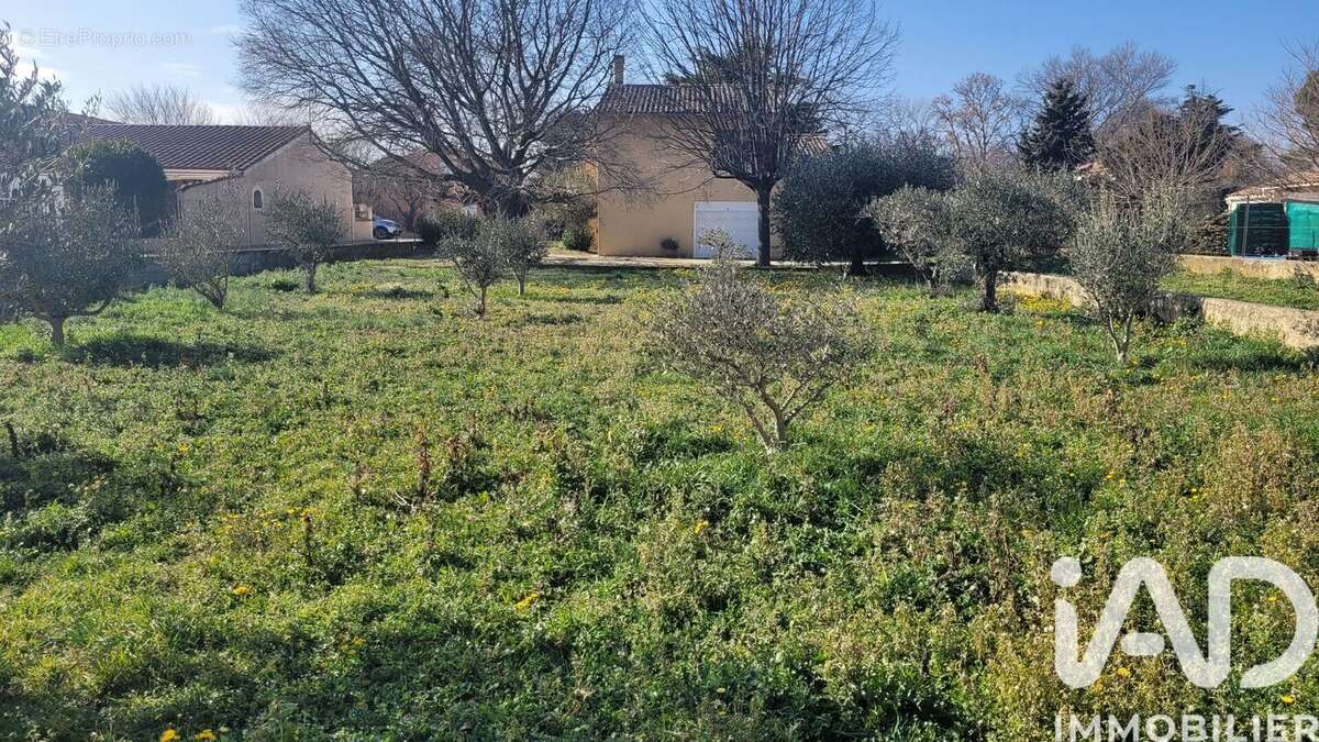 Photo 2 - Terrain à MORIERES-LES-AVIGNON