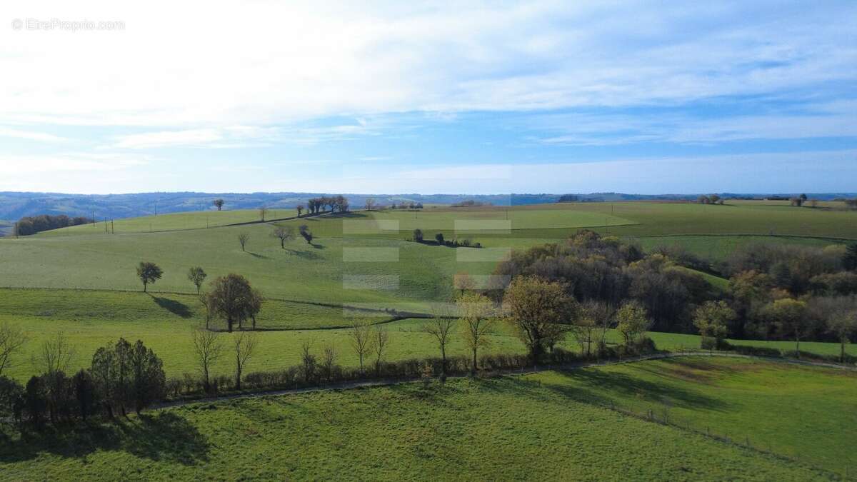 Tarn : Exploitation en ovin lait sur 52 ha SAU - photo 20