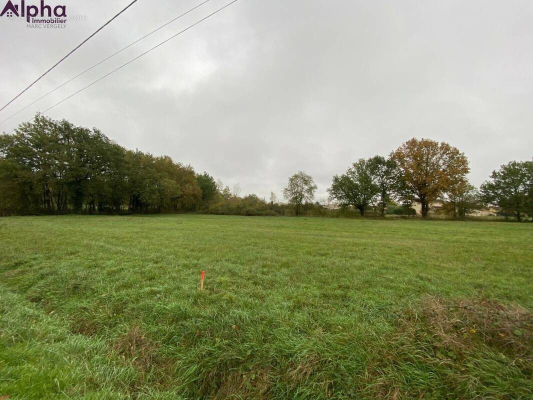 Terrain à SAINT-ETIENNE-DE-TULMONT
