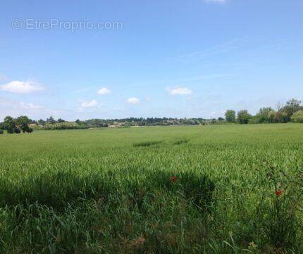Terrain à SAINT-MEDARD-D&#039;AUNIS