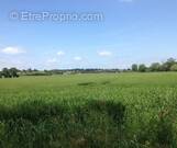 Terrain à SAINT-MEDARD-D&#039;AUNIS