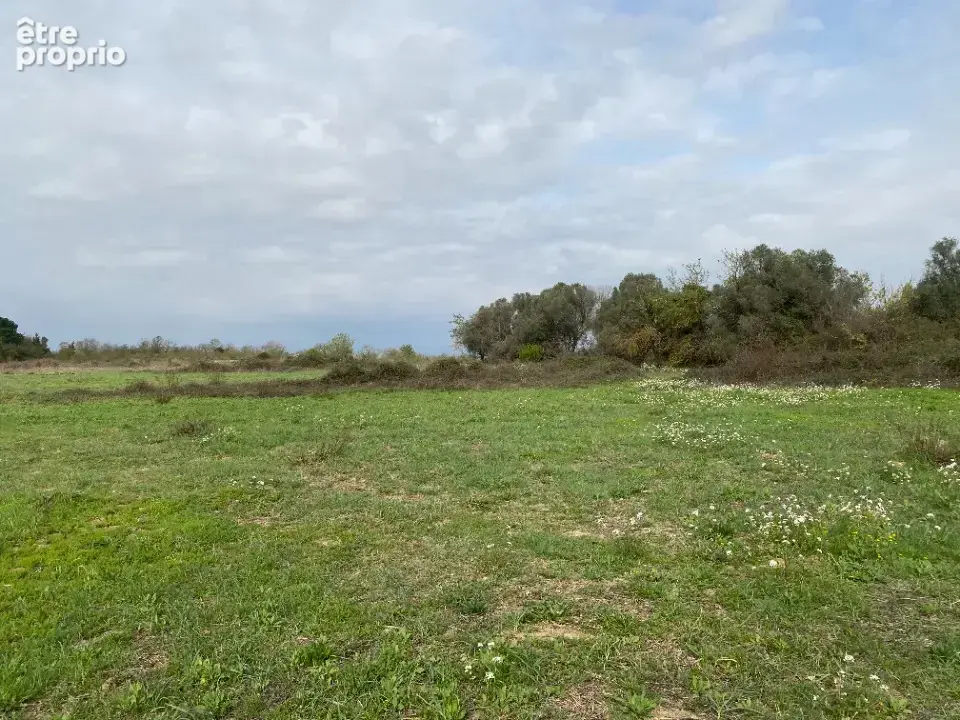 Terrain à SALLES-D'AUDE