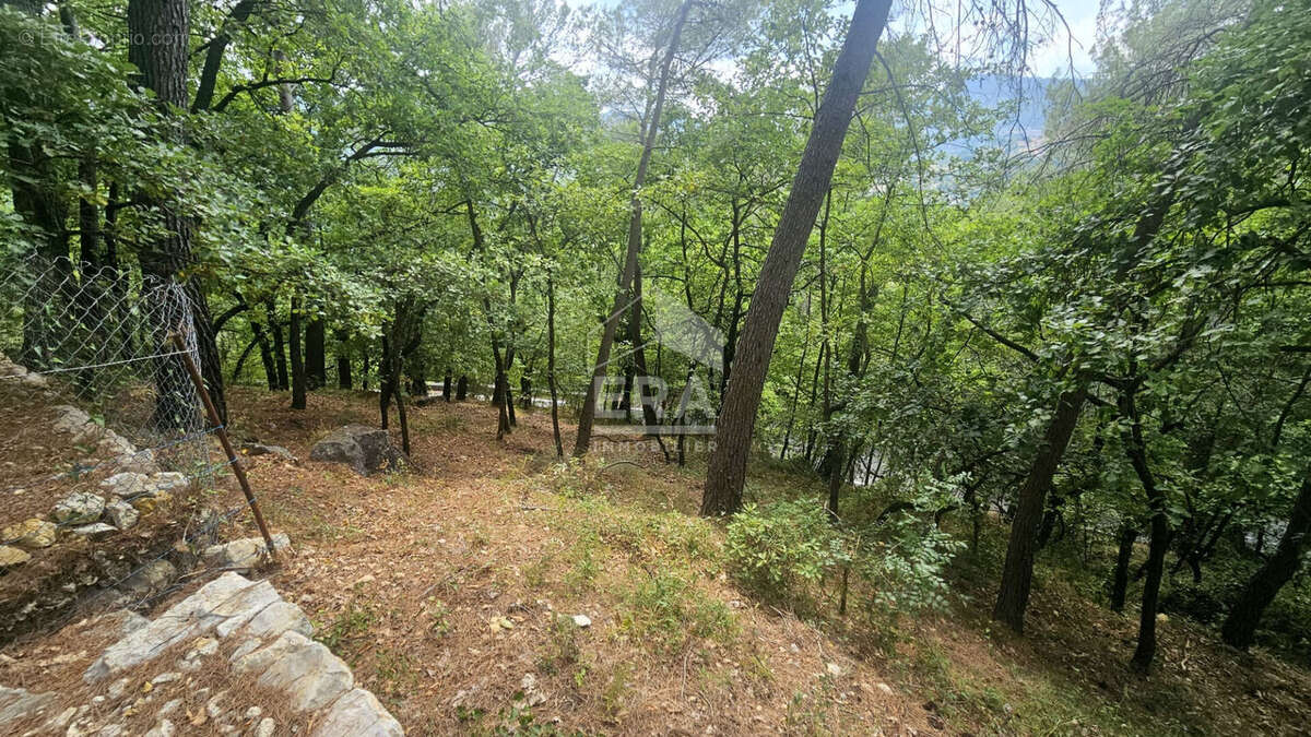 Terrain 2500m² à tourrettes-sur-loup - photo 5