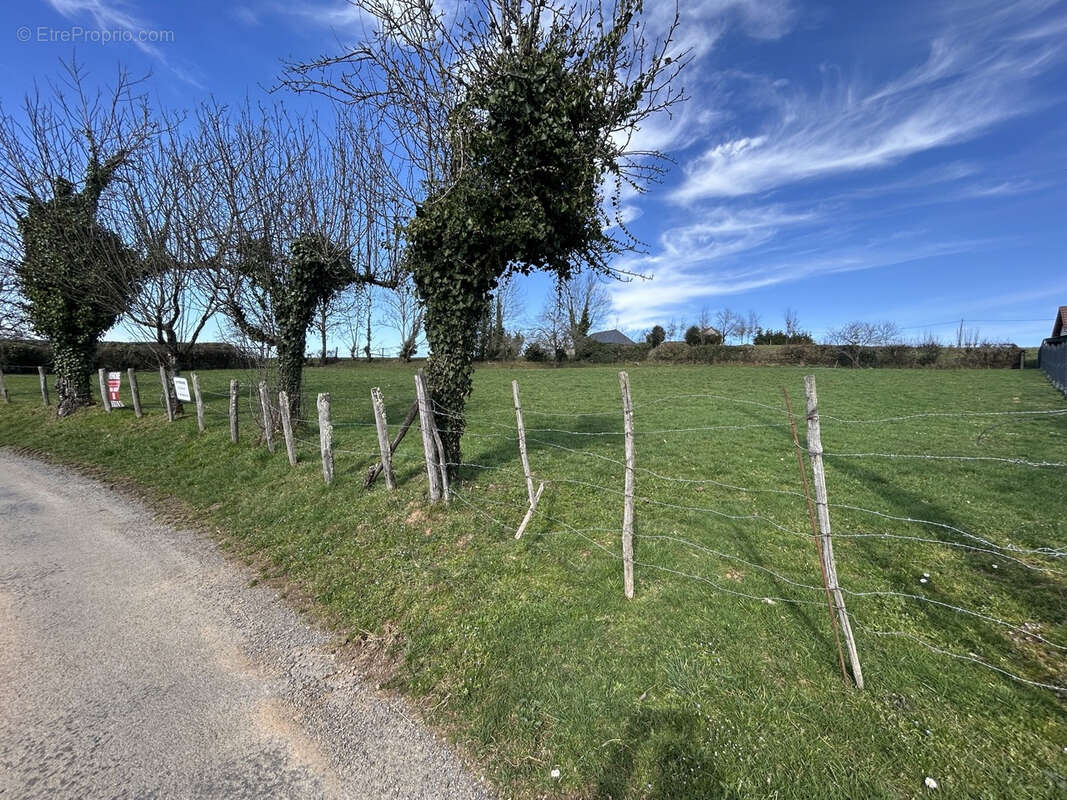 Terrain à LADIGNAC-SUR-RONDELLES