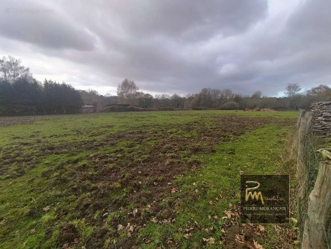 Maison à PARIGNE-L&#039;EVEQUE