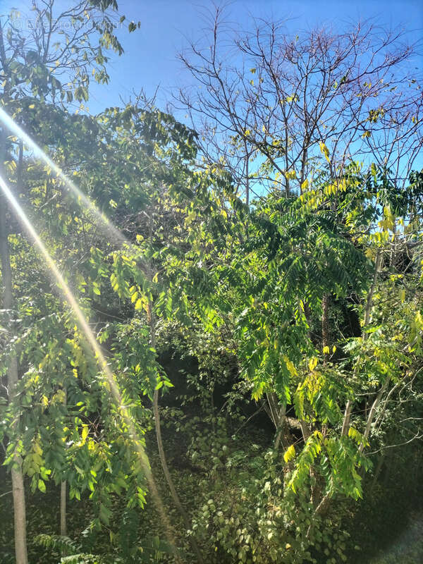 Appartement à LA TRINITE