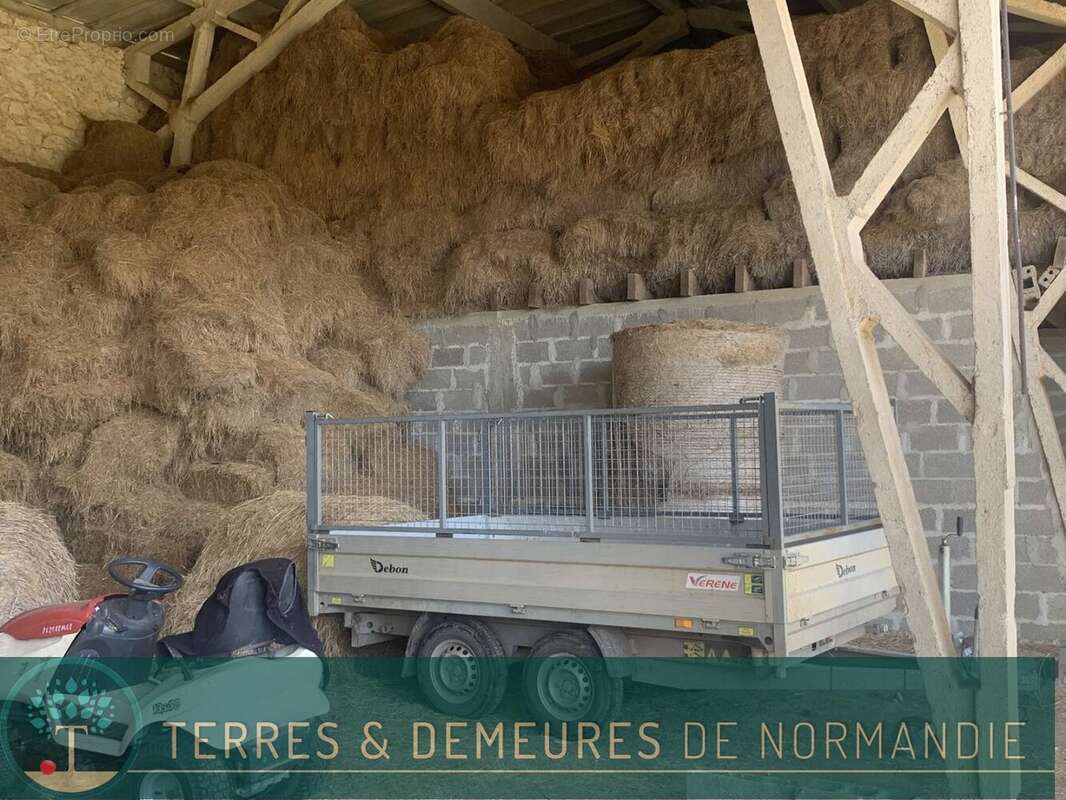 Dans le CALVADOS, région FALAISE, propriété agricole de 34 ha en herbage d'un seul tenant - photo 10