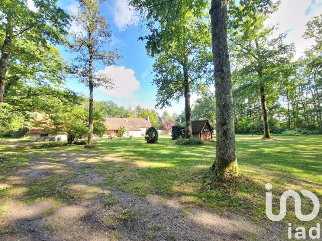 Photo 5 - Maison à MONTEREAU