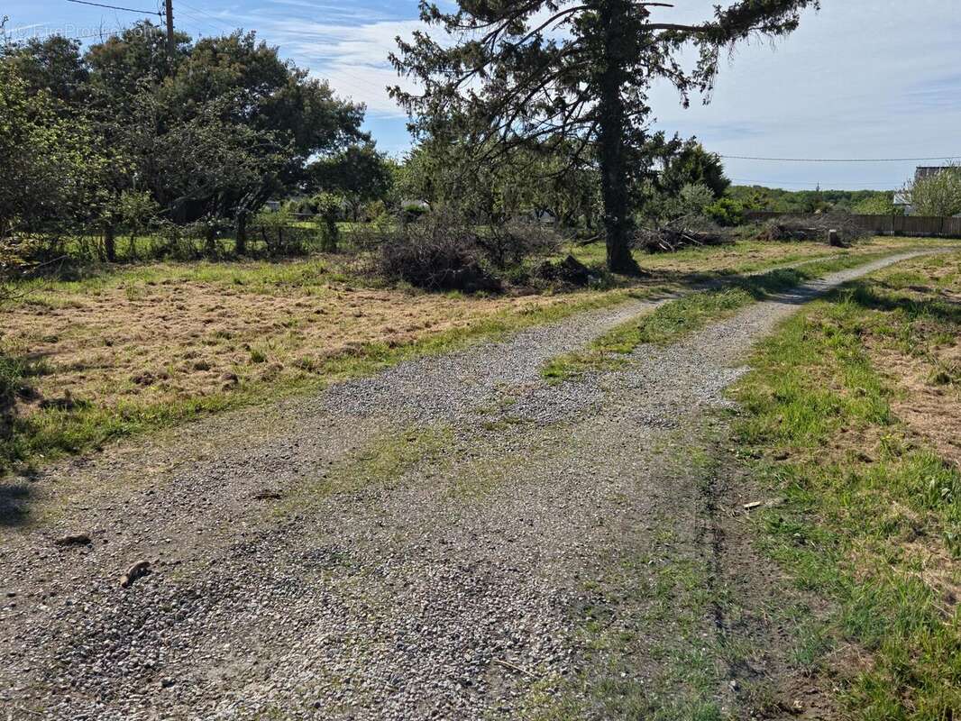Photo 3 - Terrain à LE TOUR-DU-PARC