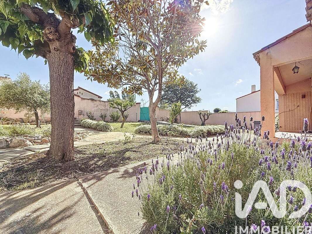 Photo 4 - Maison à PIA