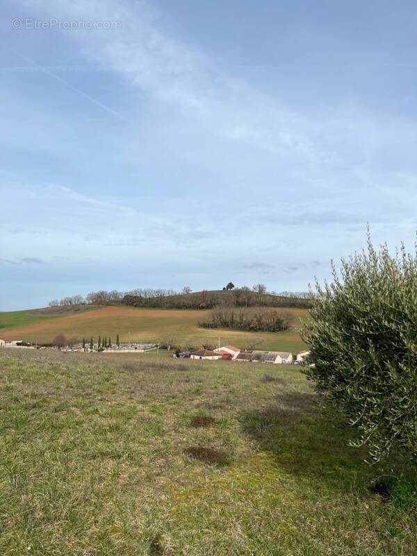 Terrain 541 m² à Carlus  - photo 1