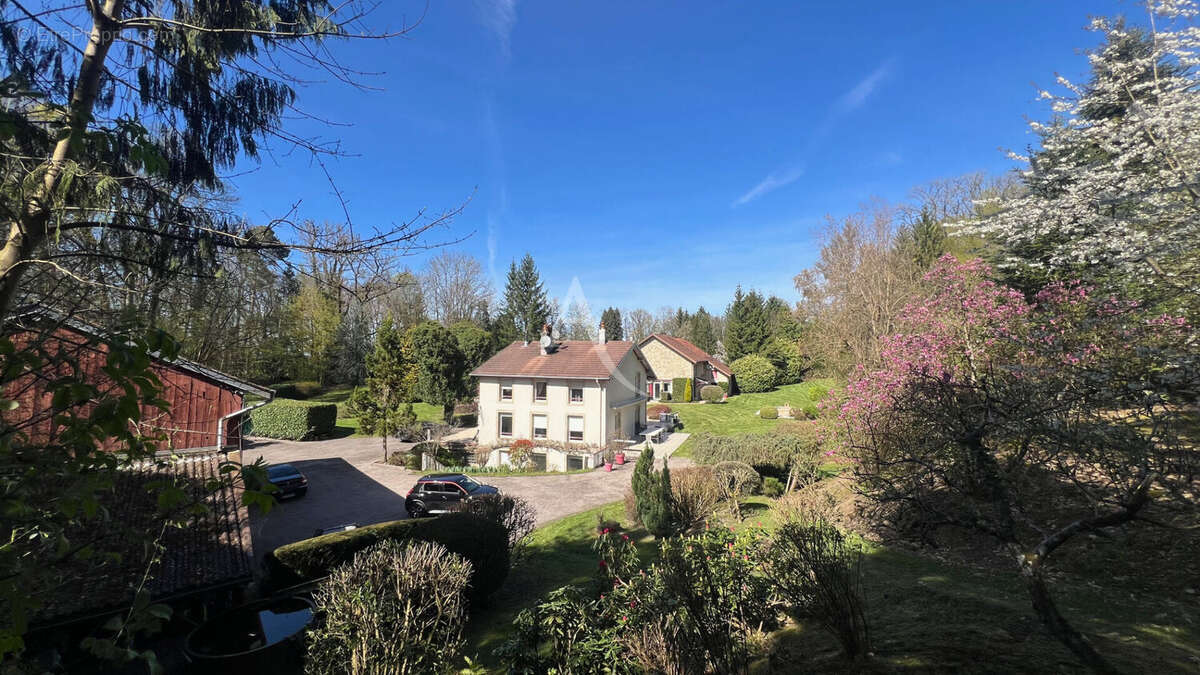 Exceptionnel, Epinal proche centre ville, propriété 1ha de terrain - photo 5