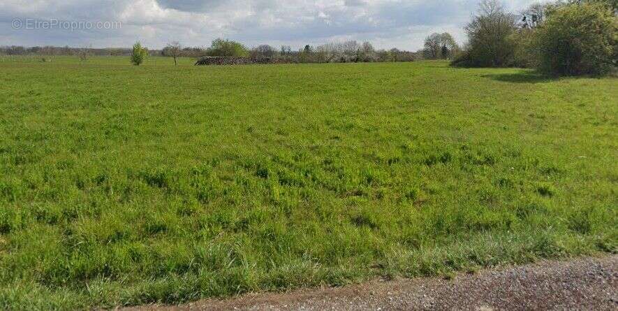 Terrain à LAMARCHE-SUR-SAONE