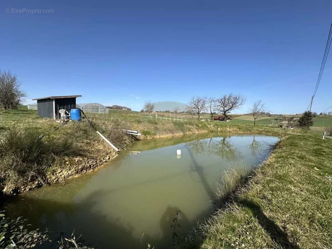 Commerce à PUYDARRIEUX