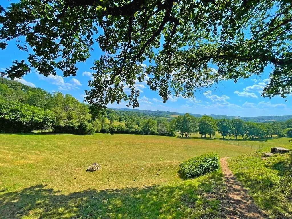 Exclusivité – Bourgogne, Morvan des Lacs – Secteur DUN-LES-PLACES - Une propriété de plus de 15 hectares, idéale pour une activi - photo 20