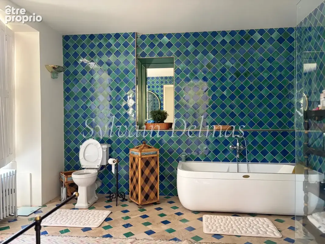 Propriete à vendre 8 pièces proche de LOCHES (37) - photo 20