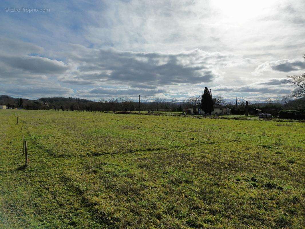 Terrain à SAUVETERRE-DE-BEARN
