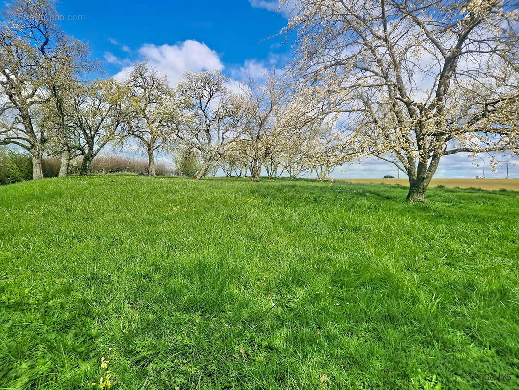 Terrain à JOUAVILLE
