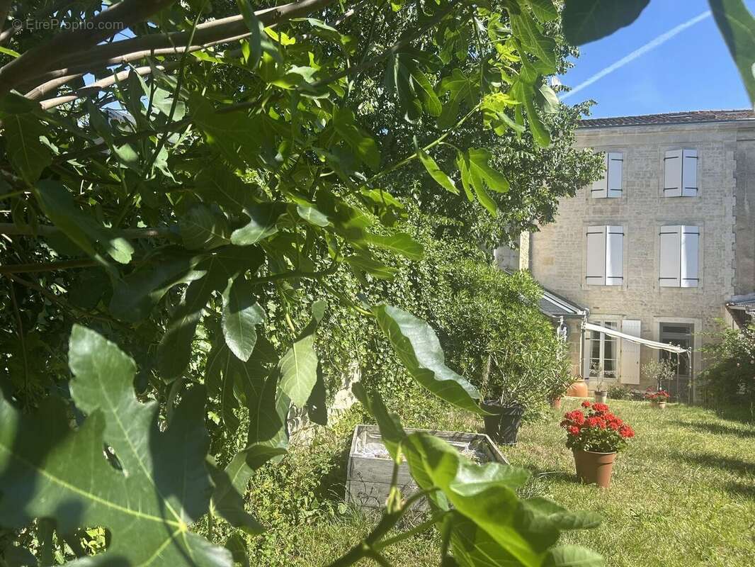 IMG4346 - Maison à NIORT