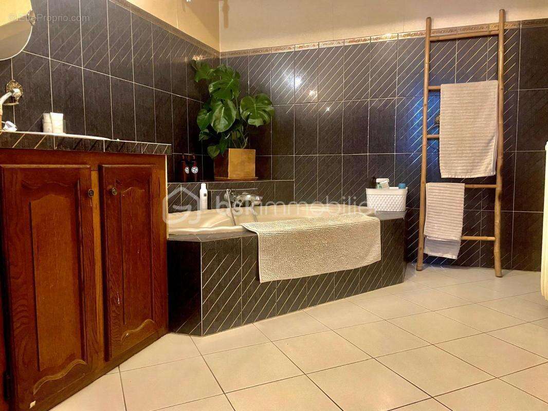 Maison à SAINTE-MAURE-DE-TOURAINE