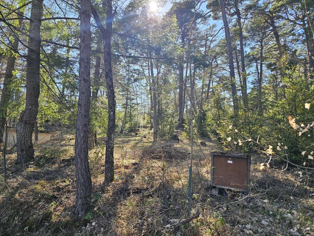 Thorenc – 4 480 m² constructibles avec double garage et possibilité de 2 lots - photo 3