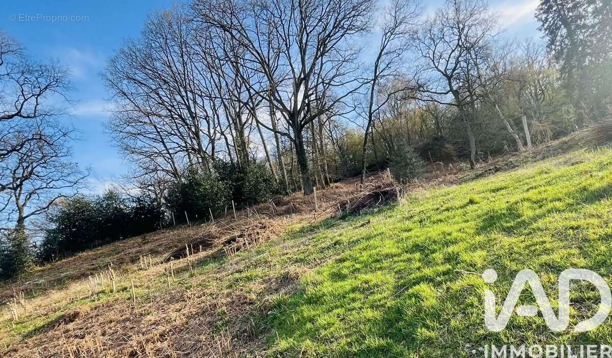 Photo 2 - Terrain à FERE-EN-TARDENOIS