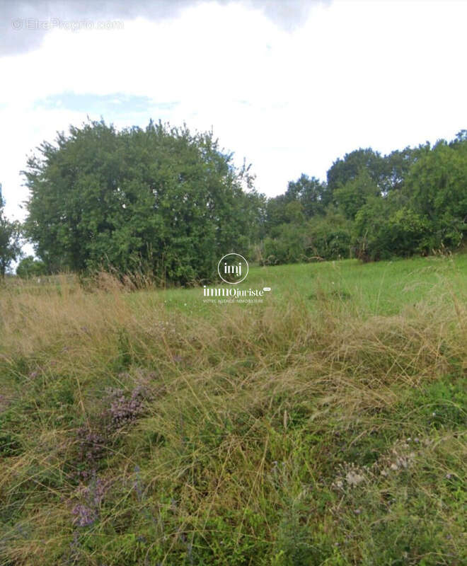 Terrain 4230 m² à Preyssac-D'excideuil  - photo 5
