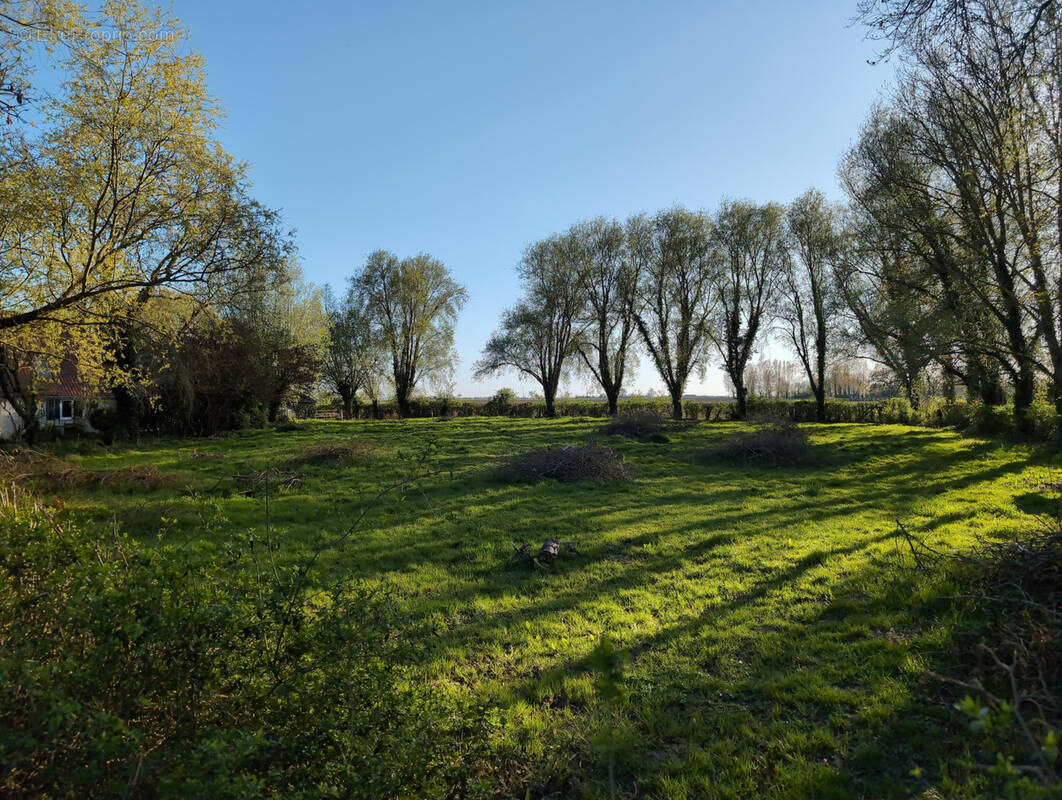 Terrain à ESQUELBECQ