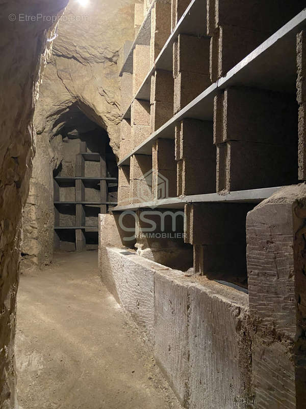 Maison à SAINTE-MAURE-DE-TOURAINE