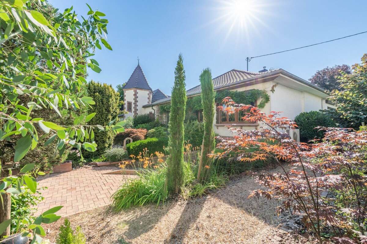 Maison 357 m² à Haguenau  - photo 3