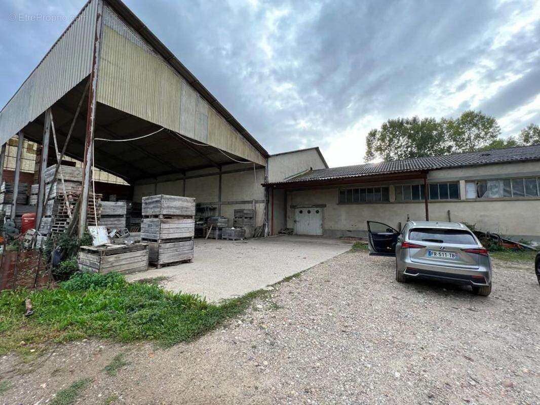 Commerce à MONTAUBAN