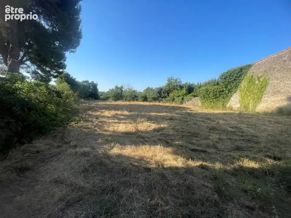 Terrain à POUZOLLES