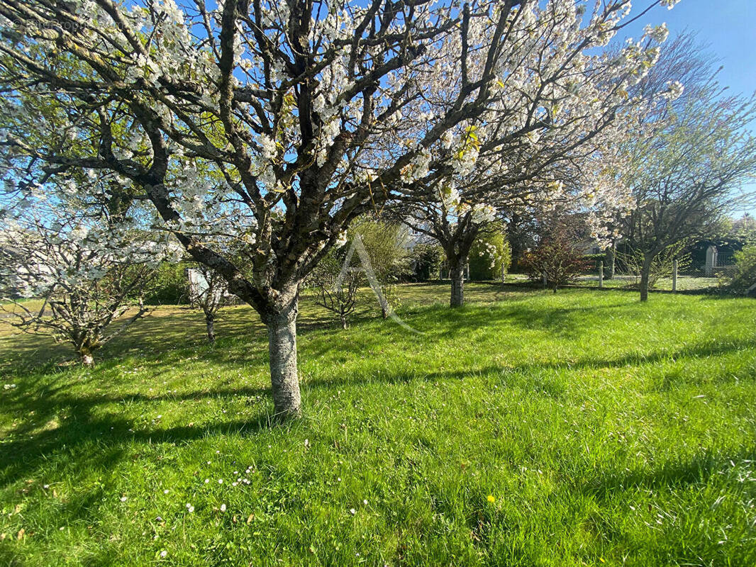 Terrain à NEUVILLE-AUX-BOIS