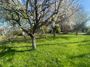 Terrain à NEUVILLE-AUX-BOIS