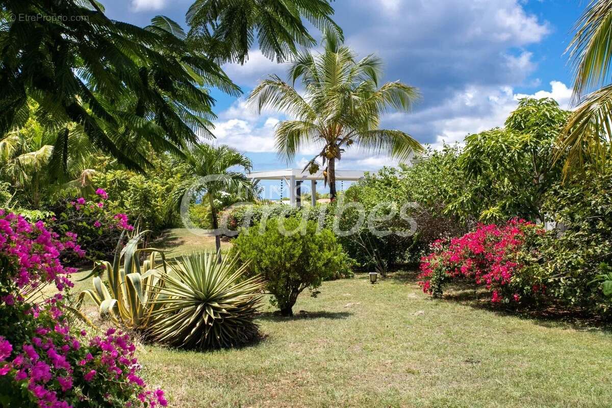 Maison à SAINT-MARTIN