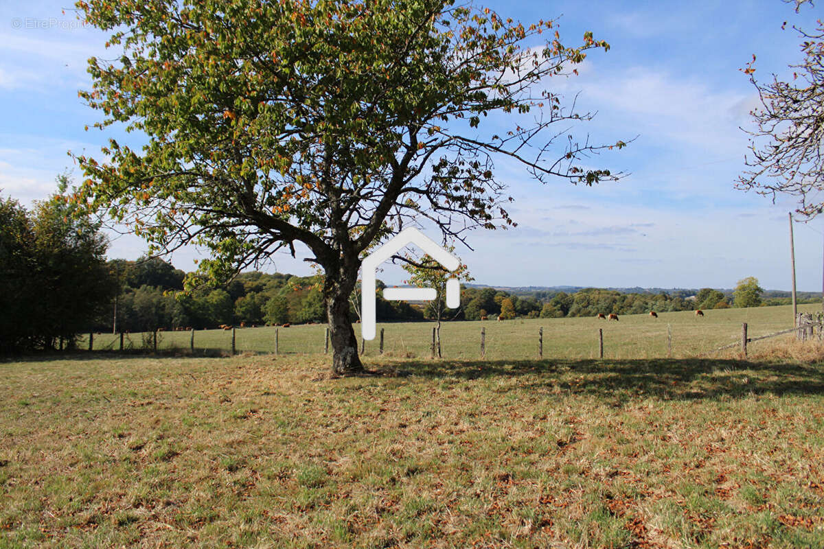 Terrain à UZERCHE